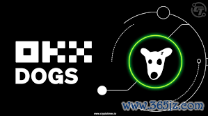 imtoken钱包怎么买加密币(数字货币交易所专业安全可靠)(778)